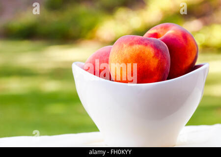 Delicious peaches in ceramic bowl on garden table in park Stock Photo