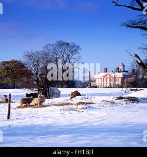 View of Hanch Hall with sheep in the foreground on a snowy morning, Hanch, Lichfield, Staffordshire, England, UK, Western Europe Stock Photo