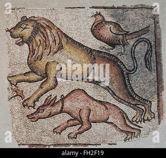 Eastern Mediterranean Roman mosaics of Animals, 5th - 6th century. Three animals are in the race, a dog, a lion and a pheasant Stock Photo