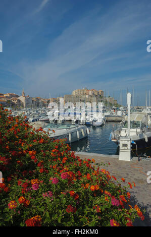 View across the marina and citadel. Calvi. Corsica. France. Europe Stock Photo