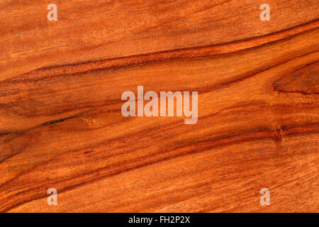 Rosewood In Brown Color Stock Photo