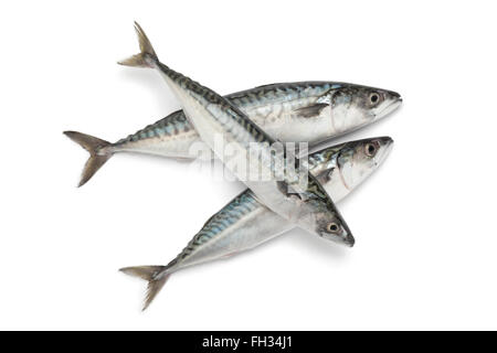 Fresh mackerel fishes on white background Stock Photo