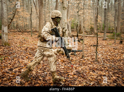 Candidates assigned to Delta Company, Officer Candidates Class-221, are evaluated as members of a fire team during the Small Unit Leadership Evaluation 1 at Brown Field, Marine Corps Base Quantico, Va., on Feb. 22, 2016. The mission of Officer Candidates School (OCS) is to 'educate and train officer candidates in Marine Corps knowledge and skills within a controlled, challenging, and chaotic environment in order to evaluate and screen individuals for the leadership, moral, mental, and physical qualities required for commissioning as a Marine Corps officer.' Stock Photo