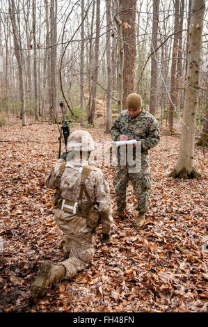 Candidates assigned to Delta Company, Officer Candidates Class-221, are evaluated as members of a fire team during the Small Unit Leadership Evaluation 1 at Brown Field, Marine Corps Base Quantico, Va., Feb. 22, 2016. The mission of Officer Candidates School (OCS) is to 'educate and train officer candidates in Marine Corps knowledge and skills within a controlled, challenging, and chaotic environment in order to evaluate and screen individuals for the leadership, moral, mental, and physical qualities required for commissioning as a Marine Corps officer.' Stock Photo