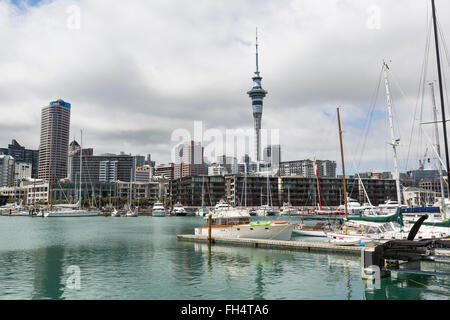 AUCKLAND, NEW ZEALAND November 24 2014: Front of the CBD of Auckland. Stock Photo