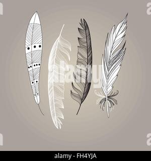 Set of bird feathers graphic Stock Vector