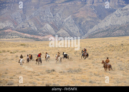 Cowboys herding horses in wilderness, Rocky Mountain, Wyoming, USA Stock Photo