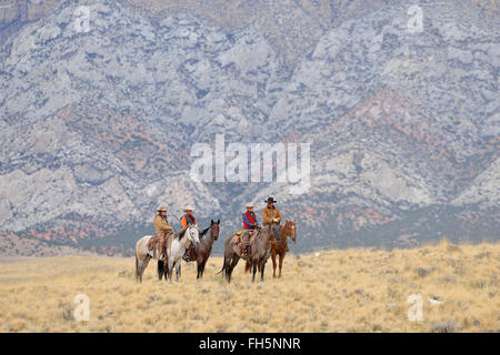 Cowboys and Cowgirls riding horses in wlderness, Rocky Mountains,Wyoming, USA Stock Photo