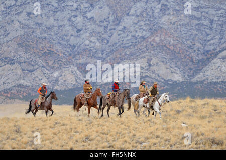 Cowboys and Cowgirls riding horses in wlderness, Rocky Mountains, Wyoming, USA Stock Photo