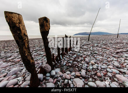 Weathered groynes on the boulder beach at Porlock Wier on the coast of Exmoor National Park UK looking towards Hurlstone Point Stock Photo