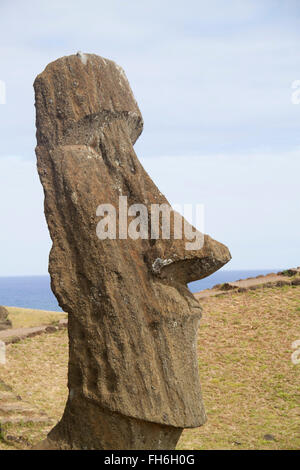 Statue (moai) at Rano Raraku Easter Island, Chile Stock Photo