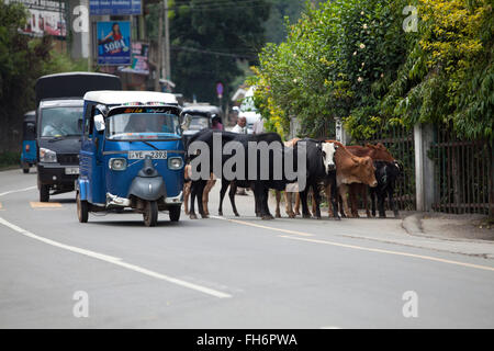 Street scenes near Kandi town, Sri Lanka Stock Photo