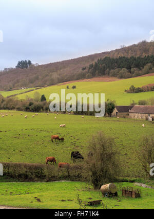 Farmland in Stokesay - viewed from South Tower at Stokesay Castle.