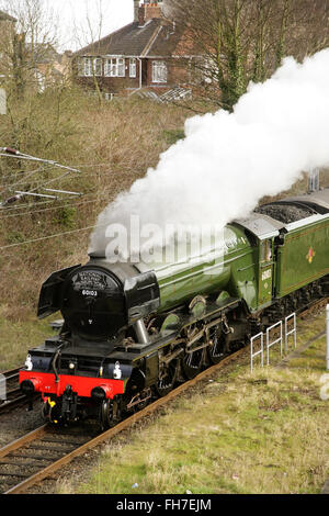 York, UK, 24 February 2016. Newly restored LNER A3 class locomotive “Flying Scotsman” leaves York on its way to London to make its inaugural comeback passenger-hauling journey from London King's Cross to York the following day. The locomotive has been restored at a cost of £4.2 million and in addition to featuring in a new exhibition at the NRM's York location will be hauling special trains throughout the UK in the coming months. Credit:  david soulsby/Alamy Live News Stock Photo