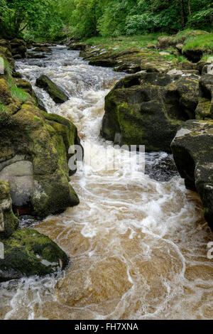 River Wharfe at The Strid near Bolton Abbey, Yorkshire Dales National ...