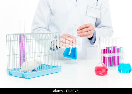 Scientist doing experiments with rat in a laboratory Stock Photo