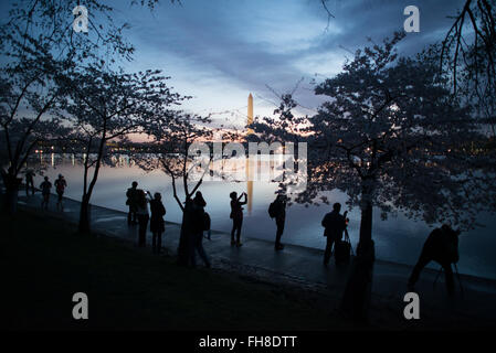 WASHINGTON DC, USA - Photographers line up along the waterfront of the Tidal Basin before sunrise during the peak bloom of the famous cherry blossoms. Stock Photo