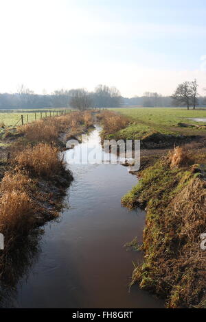 The upper River Bourne near Chobham, Surrey on a bright winter's morning as the frost melts and the sky clears. Stock Photo