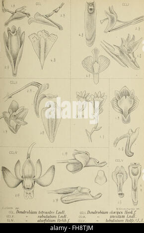 A detailed study of the orchids of Java, published in 1905, documenting ...