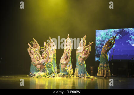 Colombo, Sri Lanka. 24th February, 2016. Chinese dancers perform peacock dance during a concert to celebrate Chinese Lunar New Year in Colombo, capital of Sri Lanka, Feb. 23, 2016. Credit:  Xinhua/Alamy Live News Stock Photo