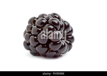 Whole single fresh blackberry at white background Stock Photo