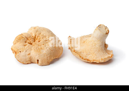 Fresh raw Pied de mouton mushrooms isolated on white background Stock Photo