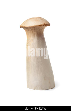 Whole fresh raw king oyster mushroom on white background Stock Photo