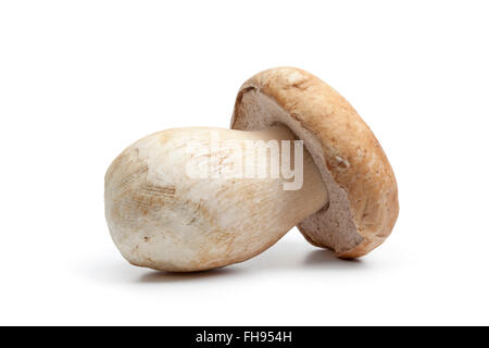 Whole single fresh raw porcini mushroom isolated on white background Stock Photo