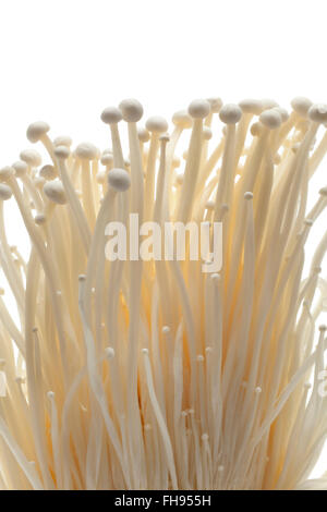 Fresh raw Enoki mushrooms on white background Stock Photo