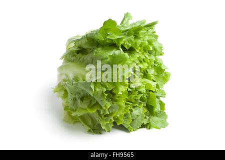 Fresh green raw endive on white background Stock Photo