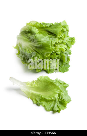 Fresh green raw endive with a single leaf on white background Stock Photo