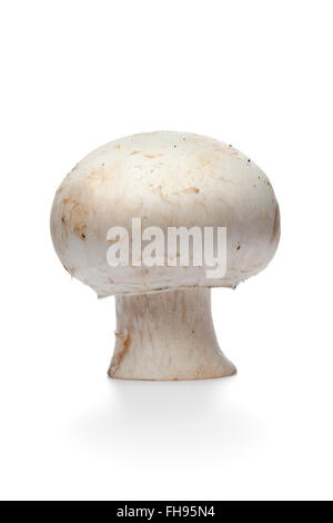 Whole single fresh raw button mushroom, champignon, isolated on white background Stock Photo