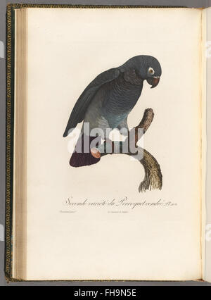 Histoire naturelle des perroquets a comprehensive work on the natural