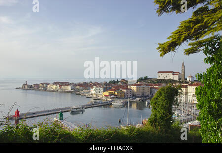 Old town, harbour and cathedral St George, Piran, Slovenia Stock Photo