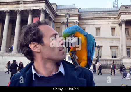 London, UK, 24 February 2016, Macaw parrot 'Damian'   plays tricks with it's Italian street performer owner on Trafalgar Square in front of the National Gallery. Credit:  JOHNNY ARMSTEAD/Alamy Live News Stock Photo