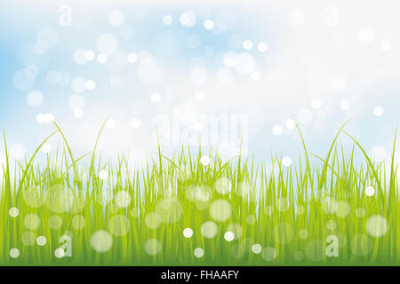 Green grass under blue sky - shiny brilliant background with place for text Stock Photo