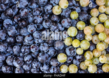 Wine Grapes Stock Photo