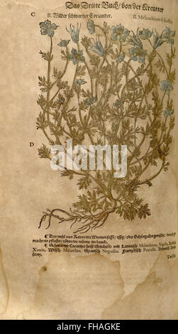 A botanical and pharmacological reference work detailing Dioscorides ...