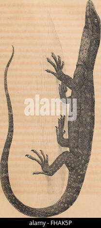 A journal from 1835 focusing on the intersection of physics and ...