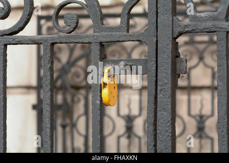 Yellow padlock on gate Stock Photo