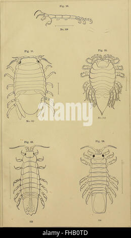 The 1871 report by the United States Commission of Fish and Fisheries ...