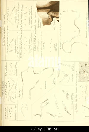 The collected papers of Joseph baron Lister (1909) Stock Photo