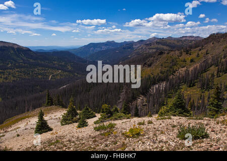 View from the SAN JUAN RIVER VALLEY from the CONTINENTAL DIVIDE near LOBO POINT, elevation 7060 feet - COLORADO ROCKIES Stock Photo