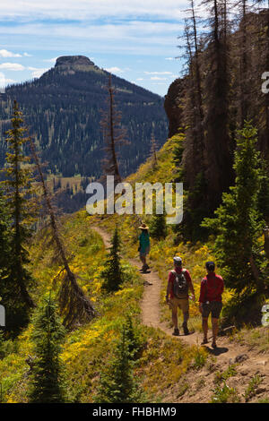 HIKERS walking near LOBO POINT, elevation 7060 feet,  on the Continental Divide - SOUTHERN COLORADO MR Stock Photo