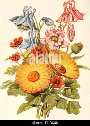 The language of flowers, or, Floral emblems of thoughts, feelings, and sentiments (1869)