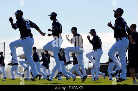 Peoria, AZ, USA. 24th Feb, 2016. The San Diego Padres warm up on the first day of practice at spring training. | (K.C. Alfred/ San Diego Union-Tribune © K.C. Alfred/U-T San Diego/ZUMA Wire/Alamy Live News Stock Photo