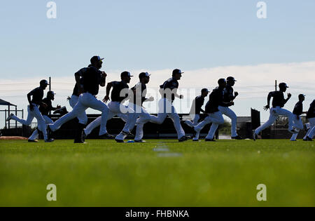 Peoria, AZ, USA. 24th Feb, 2016. The San Diego Padres warm up on the first day of practice at spring training. | (K.C. Alfred/ San Diego Union-Tribune Credit:  K.C. Alfred/U-T San Diego/ZUMA Wire/Alamy Live News Stock Photo