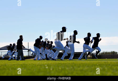 Peoria, AZ, USA. 24th Feb, 2016. The San Diego Padres warm up on the first day of practice at spring training. | (K.C. Alfred/ San Diego Union-Tribune Credit:  K.C. Alfred/U-T San Diego/ZUMA Wire/Alamy Live News Stock Photo