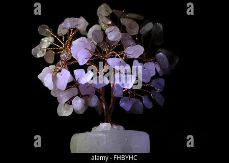 Luck tree on black background Stock Photo