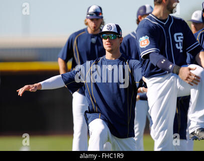 Peoria, AZ, USA. 24th Feb, 2016. San Diego Padres infielder Wil Myers stretches at spring training. | (K.C. Alfred/ San Diego Union-Tribune Credit:  K.C. Alfred/U-T San Diego/ZUMA Wire/Alamy Live News Stock Photo